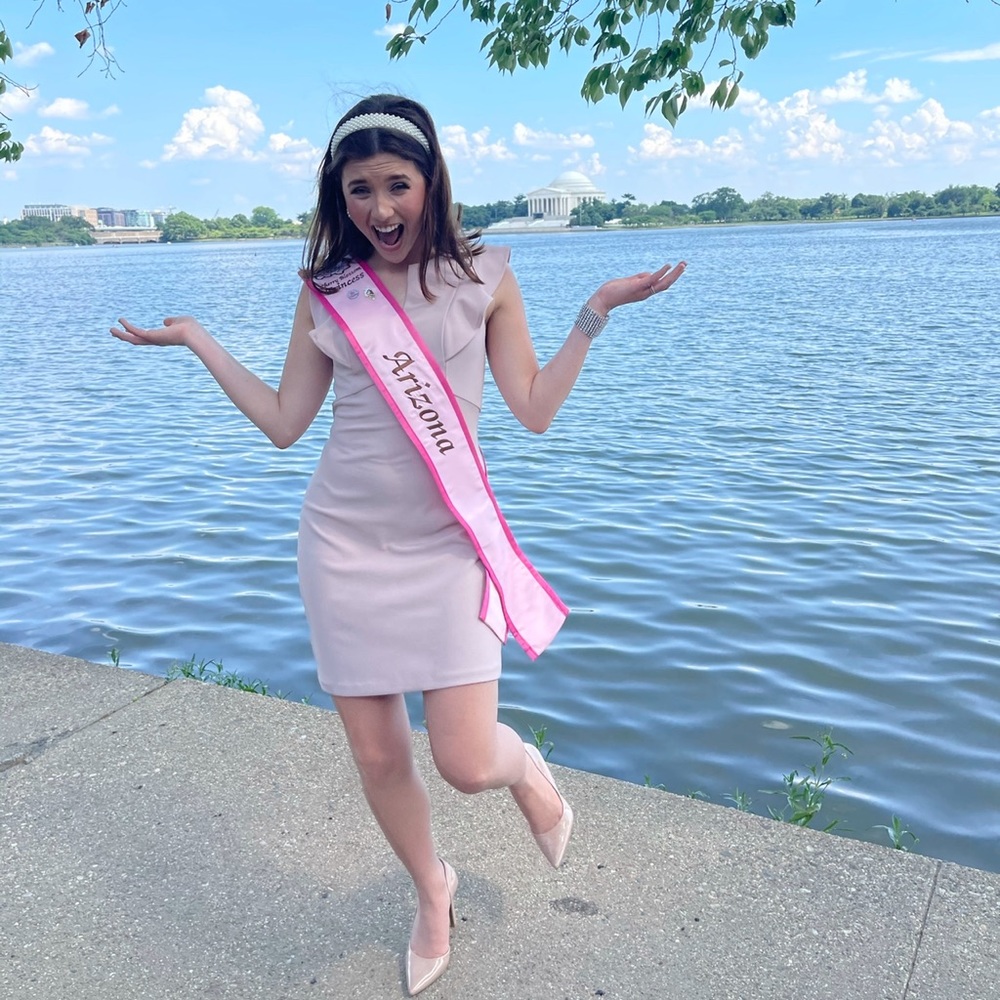 Light Pink work dress